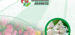 каталог Adametz 2020 (1)-1